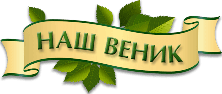 ВЕНИК БАННЫЙ-логотип